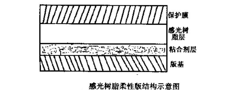  感光樹脂版的結構示意圖